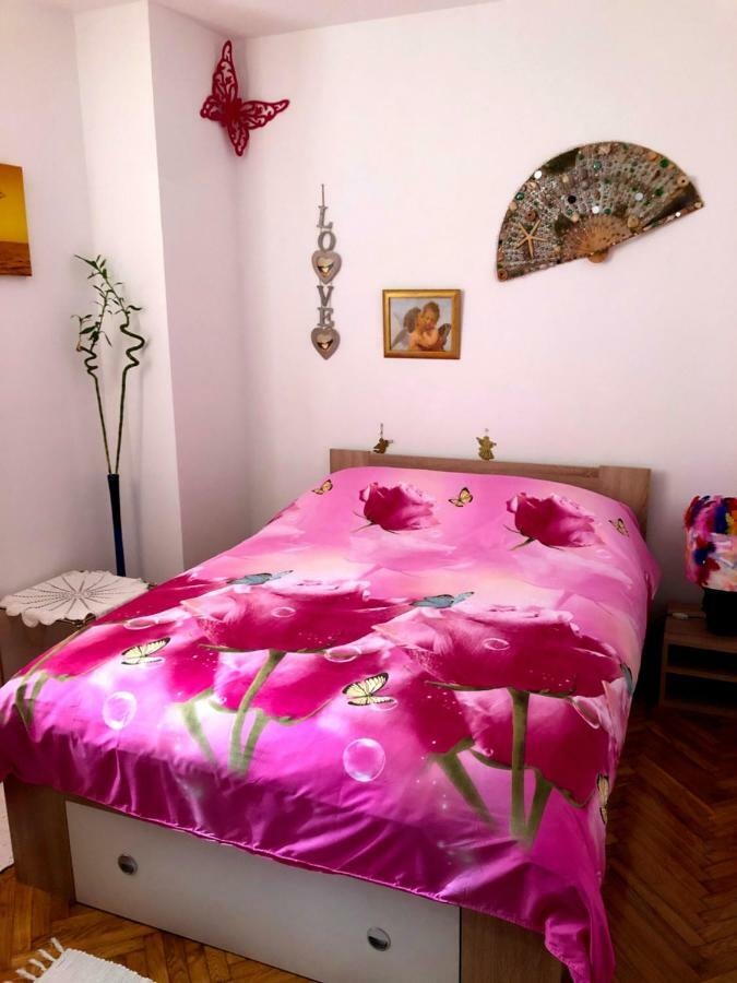 Guest House San Nikola Stari Grad  Esterno foto